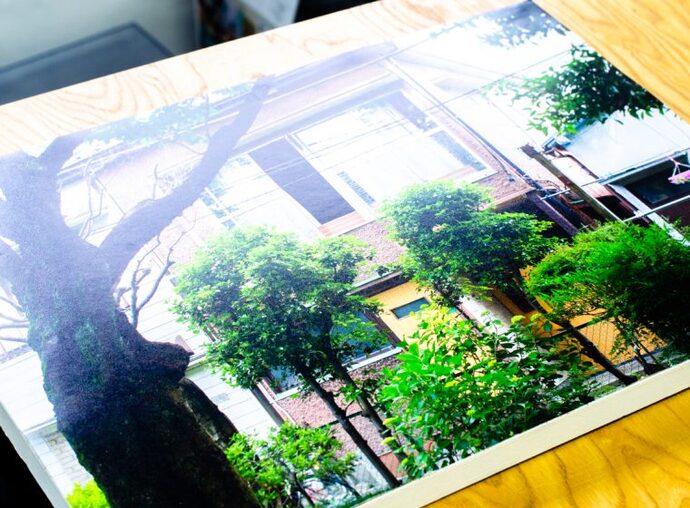 やりたいことをコツコツ続けること。の写真4