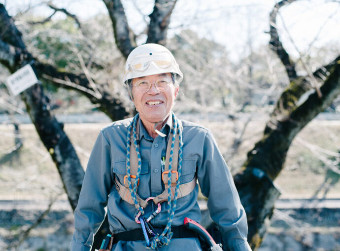 春の訪れと共に咲き渡る市民の誇り。の写真1