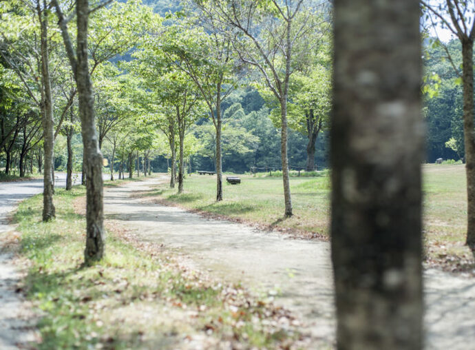 各務野自然遺産の森1