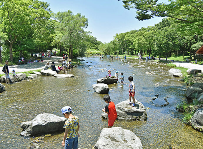 河川環境楽園2