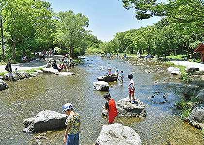 河川環境楽園